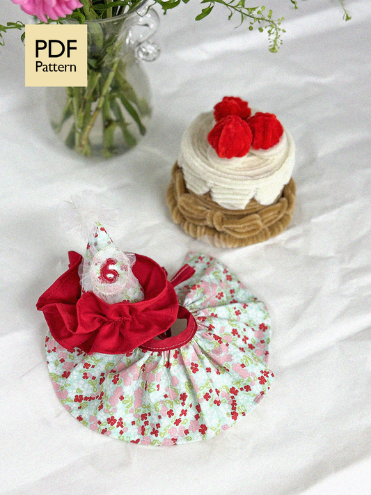 Pet Party Hat&Bib